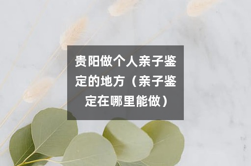 贵阳做个人亲子鉴定的地方（亲子鉴定在哪里能做）
