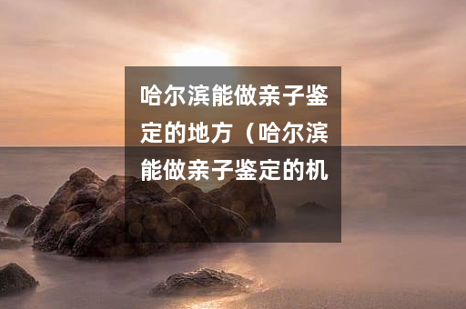 哈尔滨能做亲子鉴定的地方（哈尔滨能做亲子鉴定的机构）