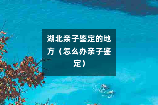 湖北亲子鉴定的地方（怎么办亲子鉴定）