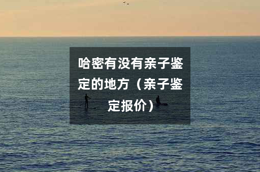 哈密有没有亲子鉴定的地方（亲子鉴定报价）
