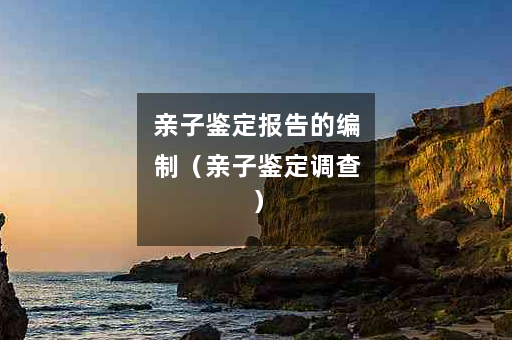 亲子鉴定报告的编制（亲子鉴定调查）