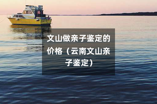 文山做亲子鉴定的价格（云南文山亲子鉴定）