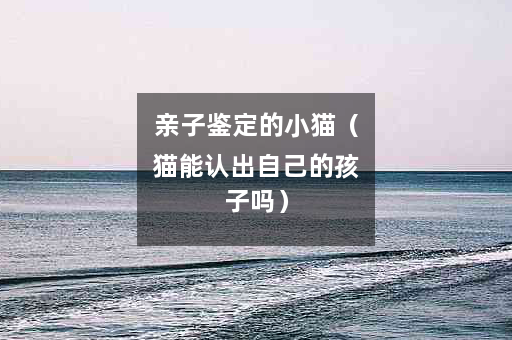 亲子鉴定的小猫（猫能认出自己的孩子吗）