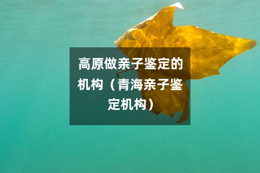 高原做亲子鉴定的机构（青海亲子鉴定机构）