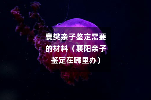 襄樊亲子鉴定需要的材料（襄阳亲子鉴定在哪里办）