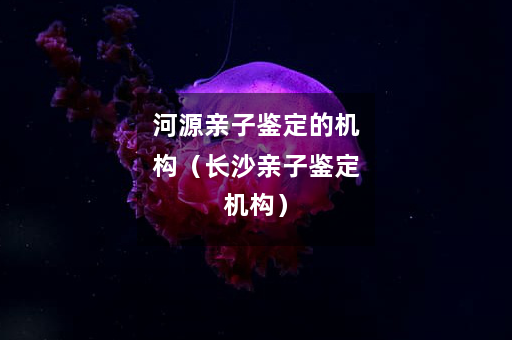 河源亲子鉴定的机构（长沙亲子鉴定机构）