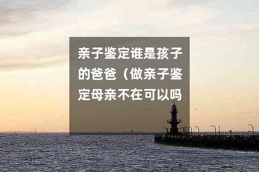 亲子鉴定谁是孩子的爸爸（做亲子鉴定母亲不在可以吗）