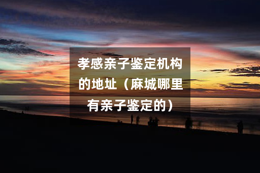 孝感亲子鉴定机构的地址（麻城哪里有亲子鉴定的）