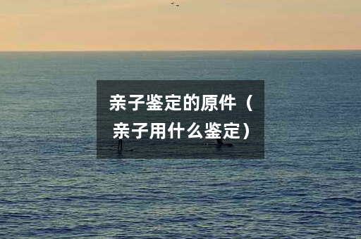 亲子鉴定的原件（亲子用什么鉴定）