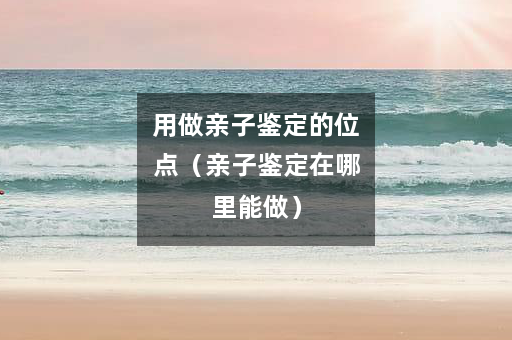 用做亲子鉴定的位点（亲子鉴定在哪里能做）