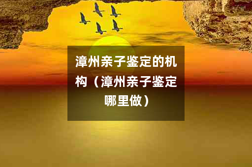 漳州亲子鉴定的机构（漳州亲子鉴定哪里做）