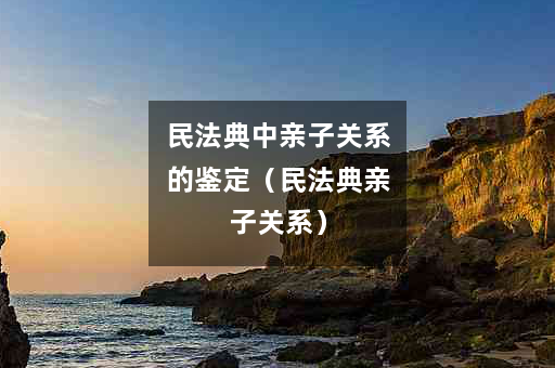 民法典中亲子关系的鉴定(民法典亲子关系) 民法典中亲子关系的鉴定(民法典亲子关系)