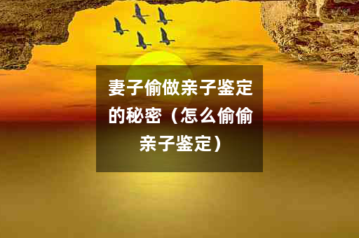 妻子偷做亲子鉴定的秘密（怎么偷偷亲子鉴定）