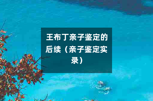 王布丁亲子鉴定的后续（亲子鉴定实录）