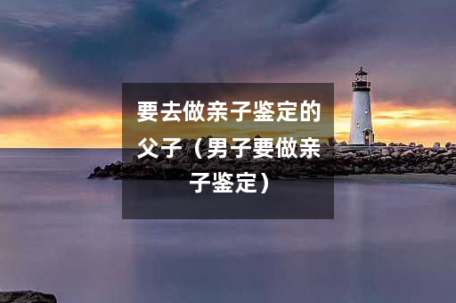 要去做亲子鉴定的父子（男子要做亲子鉴定）